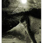 ... we\'d better go home