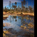 ... Tajemná zákoutí Jizerek I ...