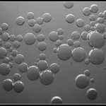 ***Water world***