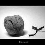 **Sorrows**