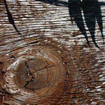 Frajersky s patkou do čela (jak nám to móda velela)