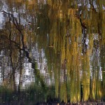 Zlaté vlasy děda Nevěda