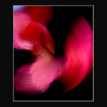 Red dance ..
