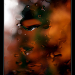 Dušičková variace - rozjímání