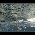 Cesta sněhem zavátá