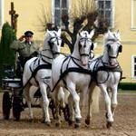 Dnes na císařském dvoře...