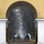 Čekání na císaře...