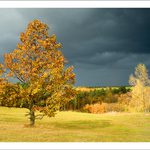 z toho mráčku asi nezaprší :)