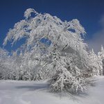 Ve sněhovém království