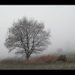 ...za mlhavou oponou...