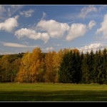 Rozdíl mezi těmi co opadají a těmi co ne...