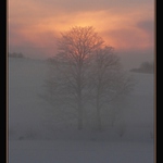 Liščí II.