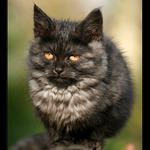 nerušit! odpočívám