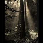 sluneční reflektor