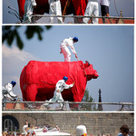 Red bull \"letecký\" den