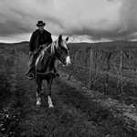 posledny karpatsky kowboy