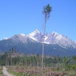 Tatry