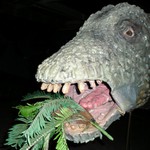 Brontosaurus