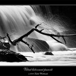 Věčně bičované paroží