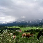 Pozdrav ze Slovinska