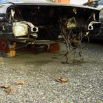 Podzimní vrakování