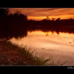 Golden sunset
