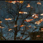 Podzimní zrcadlení (2)