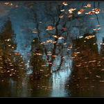 Podzimní zrcadlení (3)