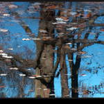 Podzimní zrcadlení ( 4)