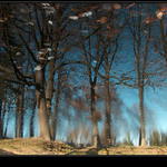 Podzimní zrcadlení (5)