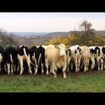 Holky, v klidu, tu s tím cvakátkem zvládnu sama...