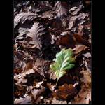 prečo sa všetci okolo vyvýjajú tak rýchlo ??