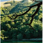 Montenegro, Biogradska Gora