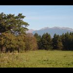 Spomienka na jeseň II.