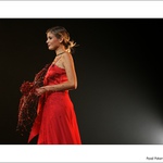 Postřehy z přehlídky...