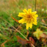 po ránu...probouzím se do nového dne