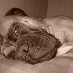 hele..dej si vodchod