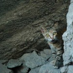 Preco na mna cumis???