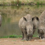 Moc nečum a radši utíkej...