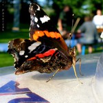 Tady!Tady! Vyfoť mě !!!