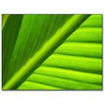 list priateľommmmm;)