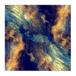 *** Pavučinové intermezzo ***