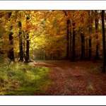 Kokořínský podzim