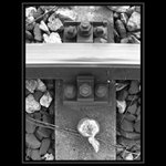 Prejdute jablcko vlakom v kolajovom krizi.