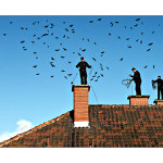 Tri bratri a sto havranu