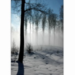 Pět malých do školky