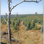 surová realita(obrazek bez zkrášlování)