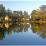 zelená , modrá , jest pro cvoky dobrá