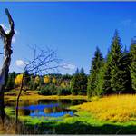 kdo by hádal Krušné hory, hádá správně