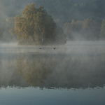 Ráno u rybníka II.